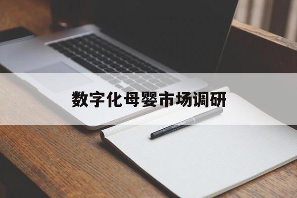 昆明市数字化母婴市场调研(数字化母婴市场调研报告)